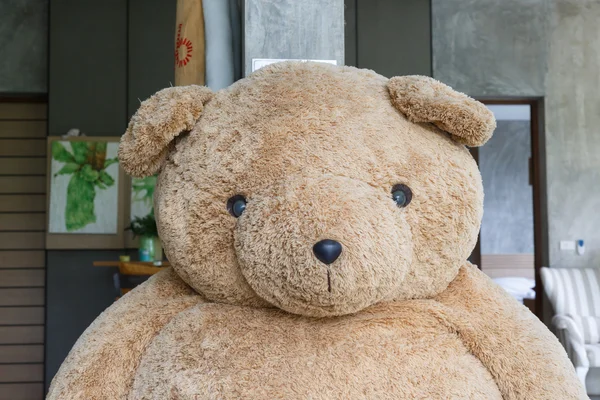 Close-up big doll brown bear fluffy fur — Stock Photo, Image