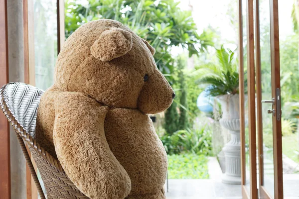 Interior design, doll bear sitting on chair furniture modern — Stock Photo, Image