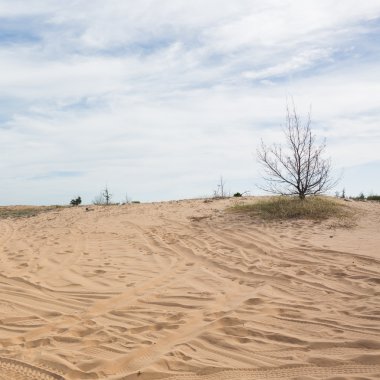 MUI Ne, Vietnam beyaz kumul çöl tekerlek yolda