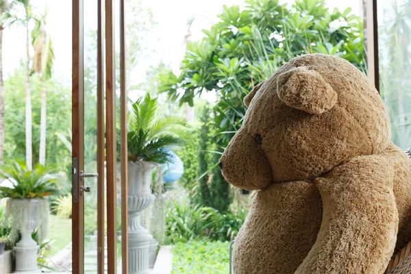 Interior design, doll bear sitting on chair furniture — Stock Photo, Image