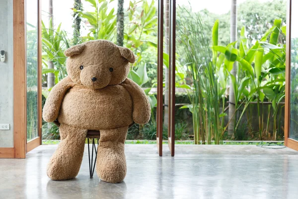 Interior design, doll bear sitting on chair furniture — Stock Photo, Image
