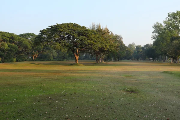 Campo de golfe — Fotografia de Stock