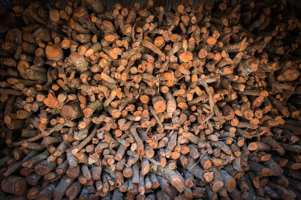 Pile of old wood sticks — Stock Photo, Image
