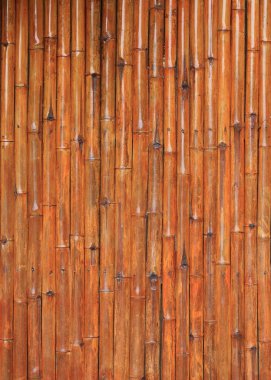 Bambu duvar arka plan