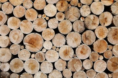 ahşap günlükleri sanayî için