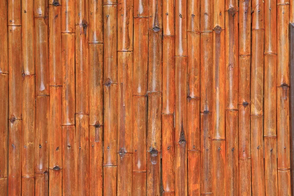 Bambus ściany tło — Zdjęcie stockowe