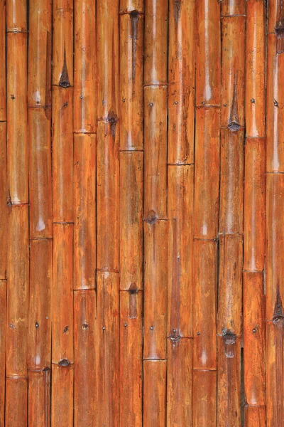 대나무 벽 배경 — 스톡 사진
