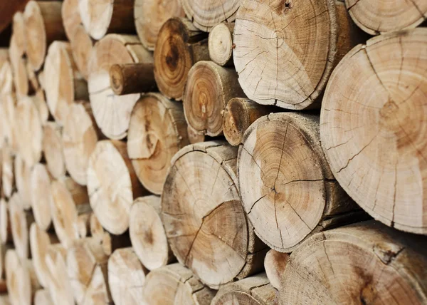 Dřevo protokoly pro průmysl — Stock fotografie