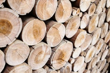 ahşap günlükleri sanayî için