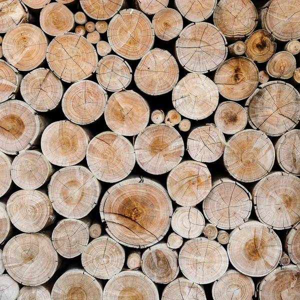 Wood logs for industry — Stock Photo, Image