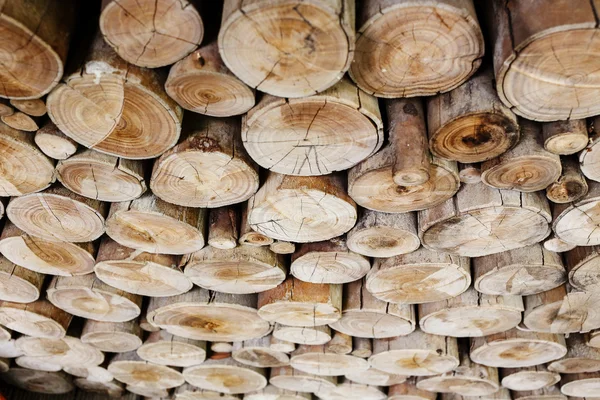 Wood logs for industry — Stock Photo, Image