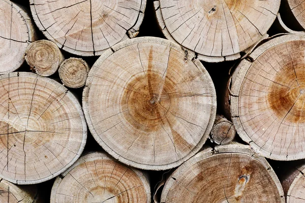 Wood logs for industry — Stock Photo, Image