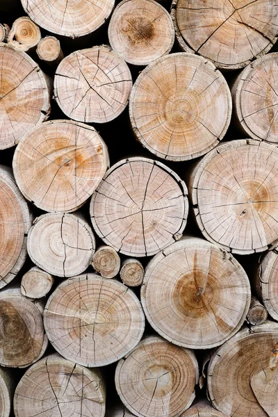 Wood logs for industry — Stock Photo, Image