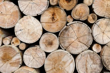 ahşap günlükleri sanayî için