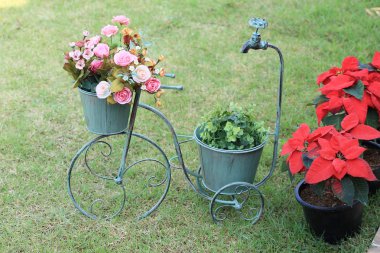 Bisiklet Vazoda Çiçekler