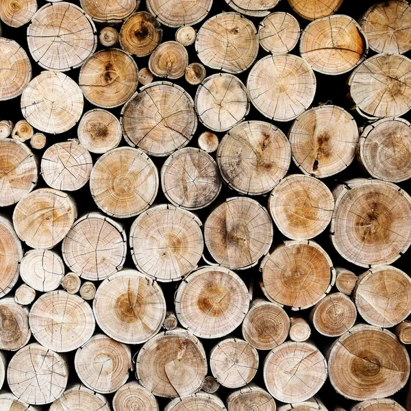 Tronchi di legno per industria — Foto Stock