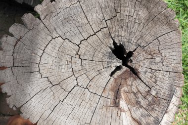 ahşap doku arkaplanı