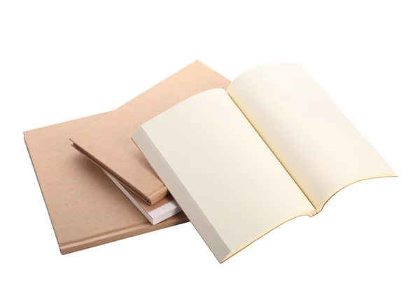 Papel livro aberto em branco isolado — Fotografia de Stock