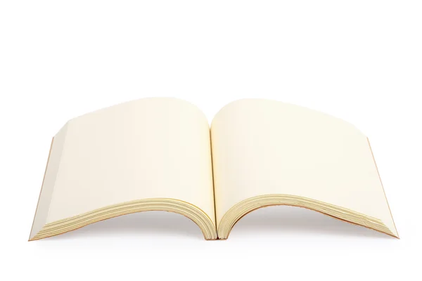 Beyaz arkaplanda izole edilmiş kitabı aç — Stok fotoğraf