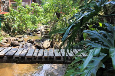 doğa bir nehir üzerinde ahşap tahta köprü
