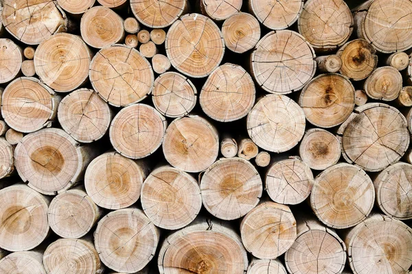 Wood logs for industry — Stock Photo, Image