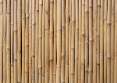 Bambu duvar dokusu arkaplanı