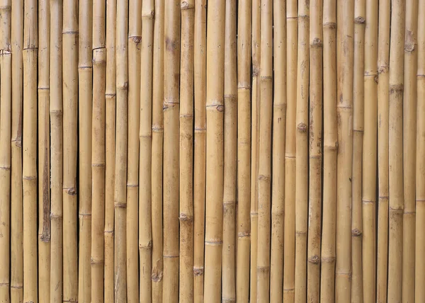 Bambusová stěna textura pozadí — Stock fotografie