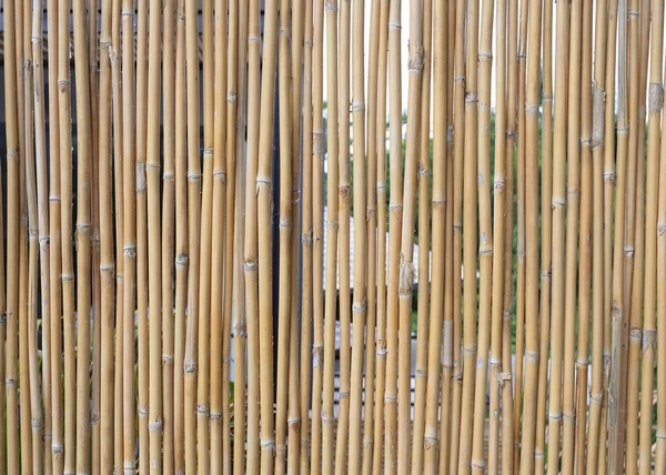 Bambusová stěna textura pozadí — Stock fotografie