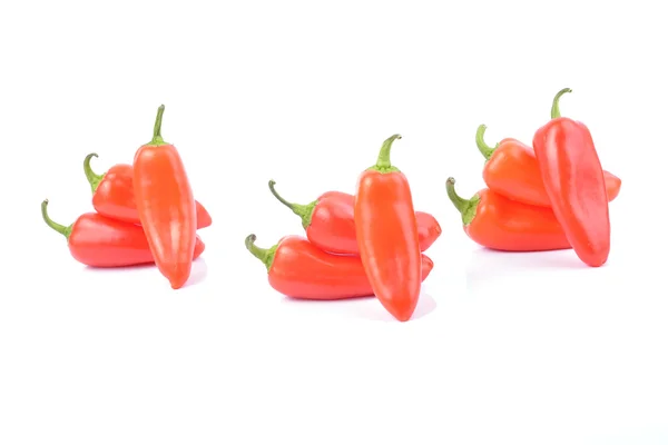 Rode paprika peper geïsoleerd — Stockfoto