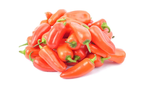 Rode paprika peper geïsoleerd — Stockfoto