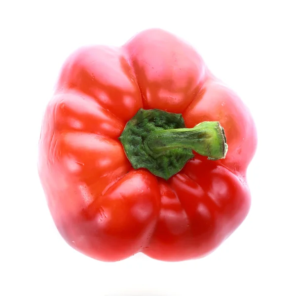 Pepper on white background — Stock Photo, Image