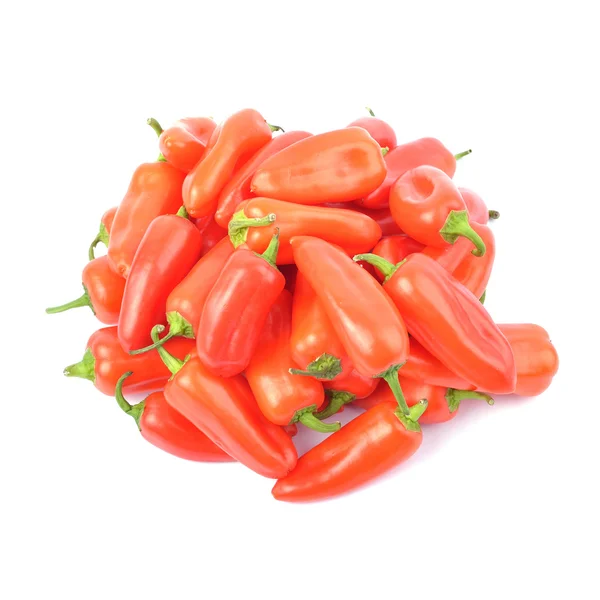 Rode paprika peper geïsoleerd — Stockfoto