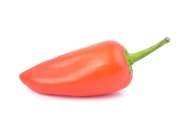 Piros paprika paprika elszigetelt — Stock Fotó
