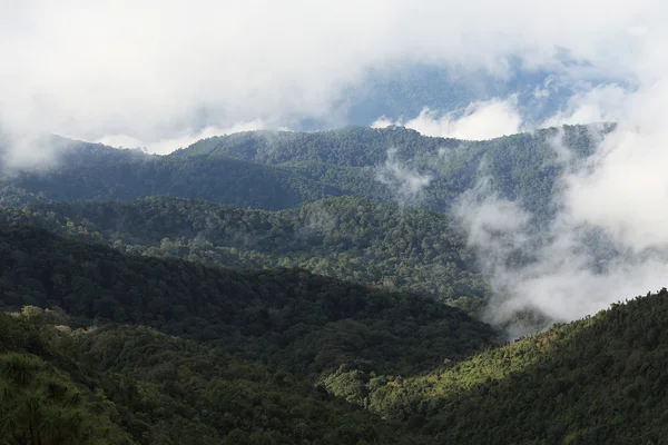 Džungle les a hory s mlhou — Stock fotografie