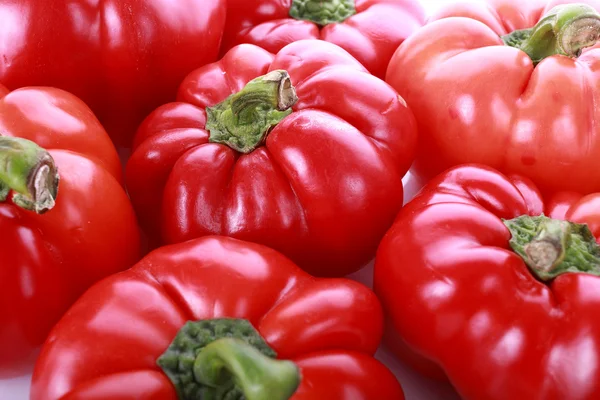 Rode paprika peper plantaardige — Stockfoto