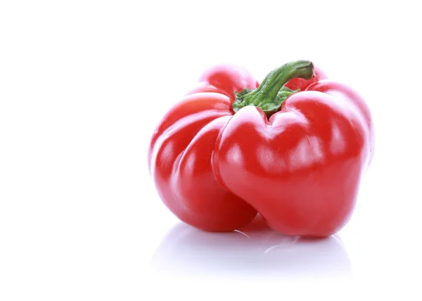 Pepper on white background — Stock Photo, Image