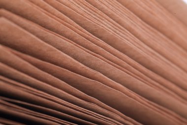 kahverengi kağıt sayfa belge yaprak yığını