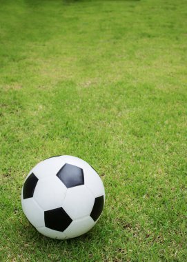 Yeşil çimlerde futbol topu