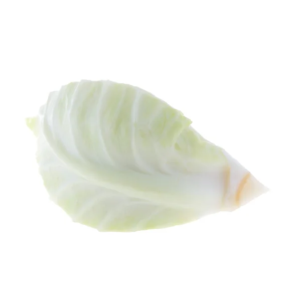 白い背景に分離された野菜キャベツ — ストック写真