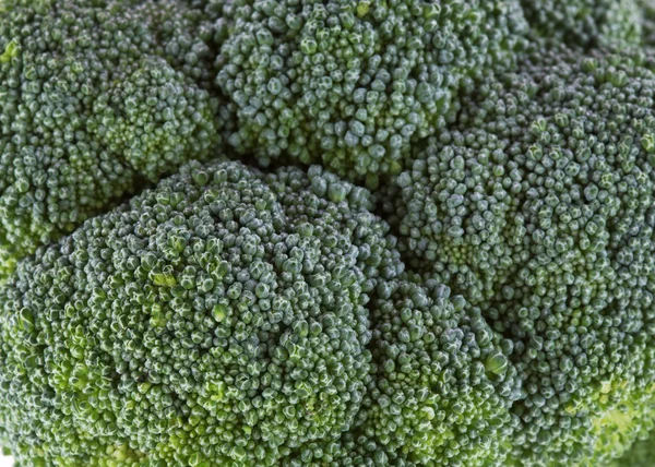 Close up brócolis vegetal verde — Fotografia de Stock