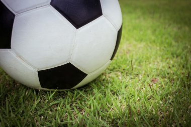 Yeşil çimlerde futbol topu