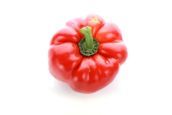 Pepper on white background — Stock Photo, Image