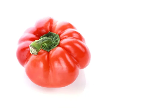 Pepper on white background — Stock Photo, Image