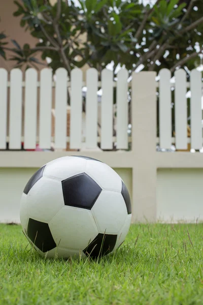 Bola sepak di rumput hijau — Stok Foto