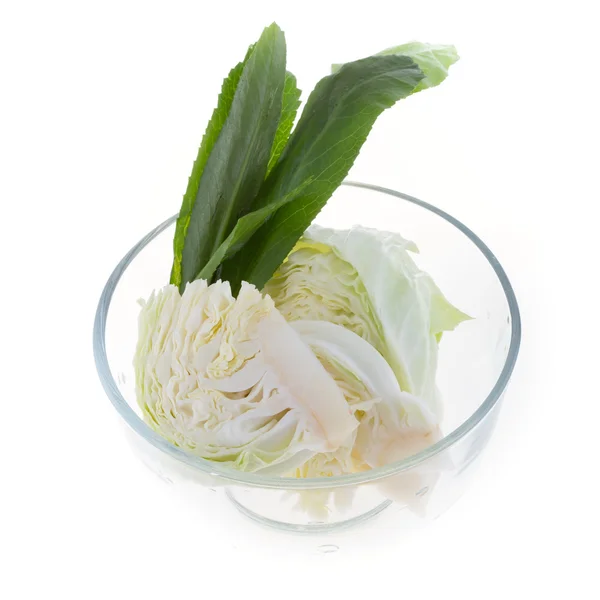 Repollo y cilantro en tazón aislado —  Fotos de Stock