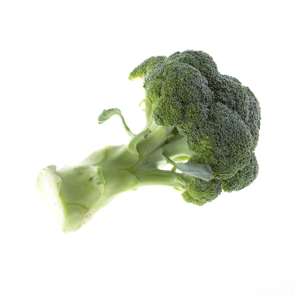 Broccoli isolated on white background — Stock Photo, Image