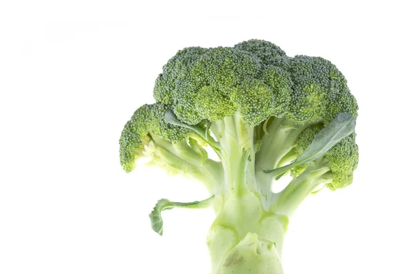 Brocoli isolé sur fond blanc — Photo