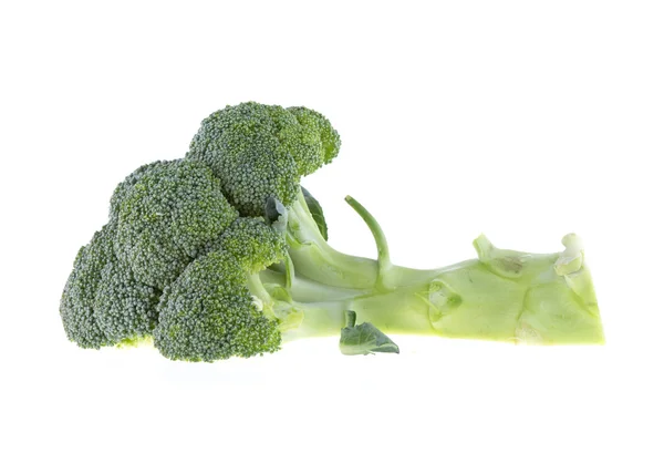 Broccoli isolated on white background — Stock Photo, Image