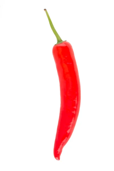 Peppar röd isolerade — Stockfoto