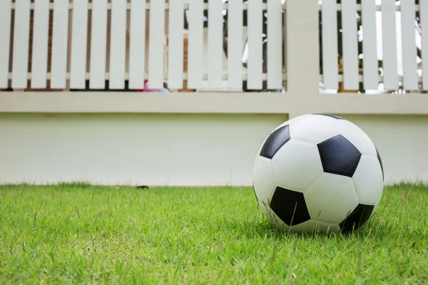 Soccer ball on green grass — Stock Photo, Image